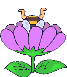 Bee_in_flower