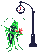 Grasshopper_waits