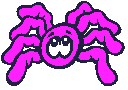 Purple_spider_2