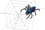 Spider_web_2