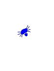 Spider_web_4