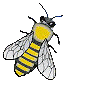 big_bee