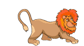 Lion_scratches