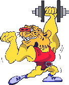 Lion_weightlifts