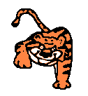 messed_up_tiger