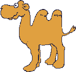 Camel_wags