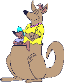 Kangaroo_family