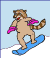 Raccoon_snowboards