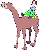Tourist_on_camel
