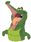 Alligator_3