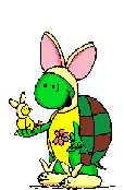 Bunny_turtle