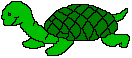 Green_turtle