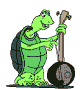 Musician_turtle