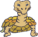 Turtle_4