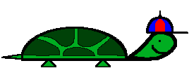 Turtle_6