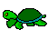 Turtle_runs