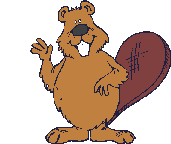 Beaver_3