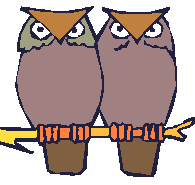 Two_owls_sit