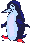 Blue_penguin