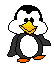 Penguin_3