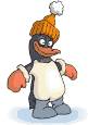 Penguin_dressed