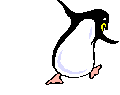 funky_penguin