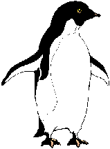 penguin_2