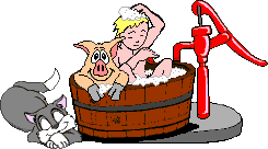 Pig_bathes