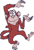 Monkey_plays