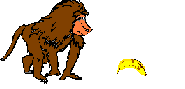 Primate_with_banana