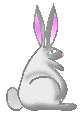 Big_eared_bunny