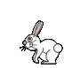 Bunny_hopps