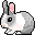 Little_rabbit_2