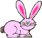 Pink_bunny_2