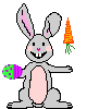 Rabbit_eats_carrot