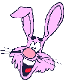 Rabbit_head