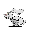 rabbit_runs