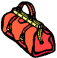 Orange_purse