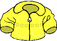 Yellow_jacket
