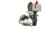 rabbit_and_mailbox