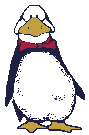 Penguin_blinks