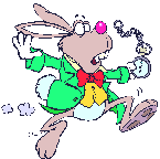 White_rabbit