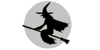 witch_flies