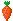 Small_carrot_2