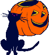 cat_and_pumpkin