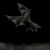 flying_bat
