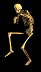 skeleton_2