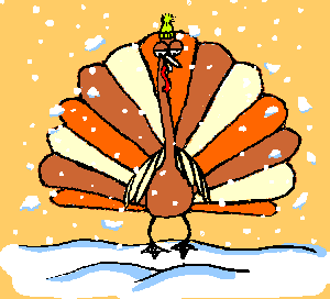 winter_turkey