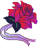 Rings_and_rose