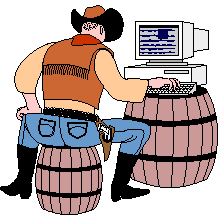 cowboy_on_computer